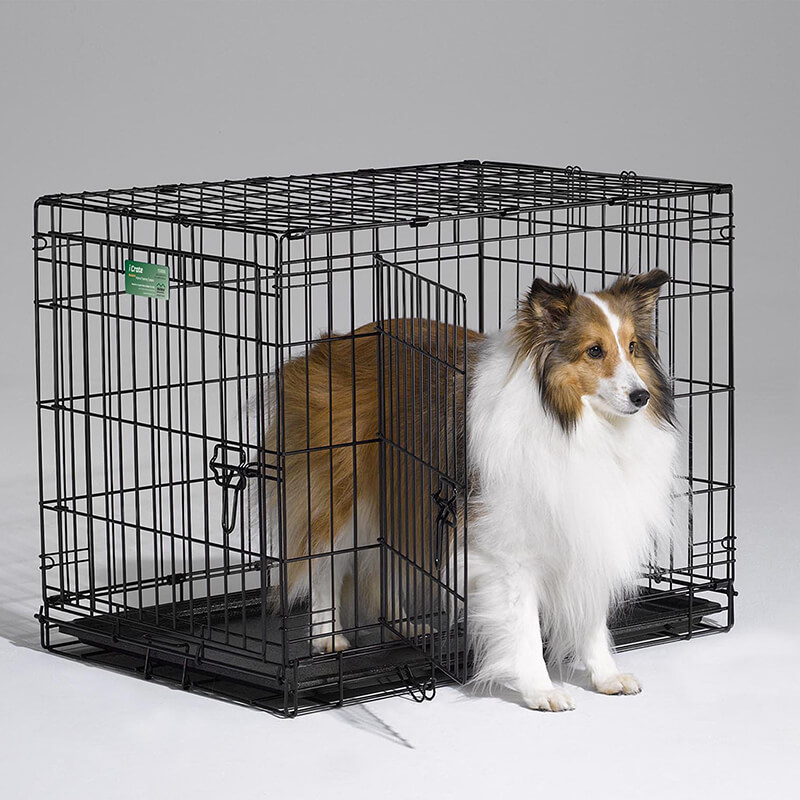 animal pet dog crates