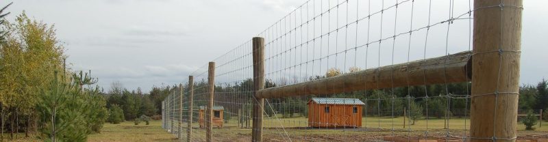 Fixed knot Woven Wire Field Fence application