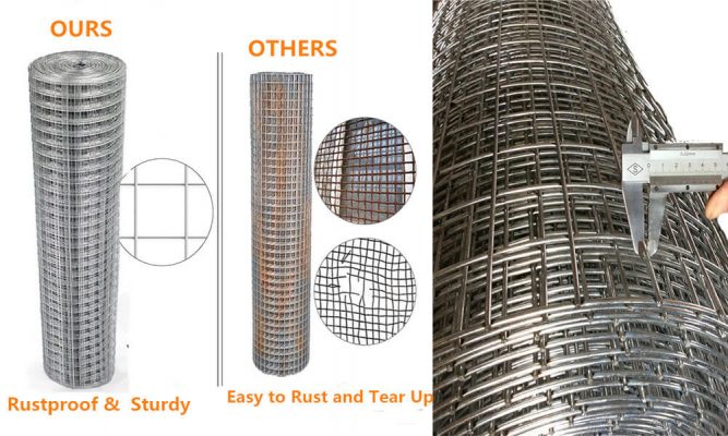 Galvanised Anti rust Welded Wire Mesh Fence Rolls