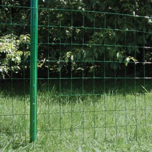 Green RAL6005 Welded Wire Fence Roll for Garden