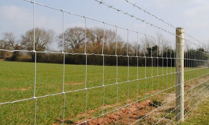 Hot dipped Galvanzied Hinge Knot Field Fence Application