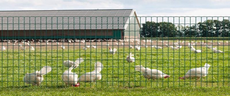 PVC Coated Welded Wire Garden Fence Application