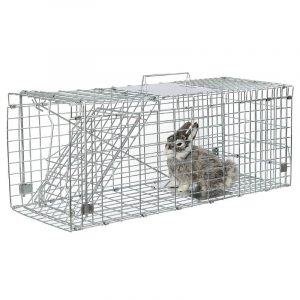 Collapsible Humane Animal Trap Cages for Wild cat, possum and raccoon