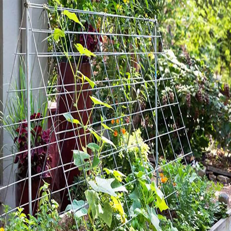 Cucumber trellis for raised beds or small garden (3)
