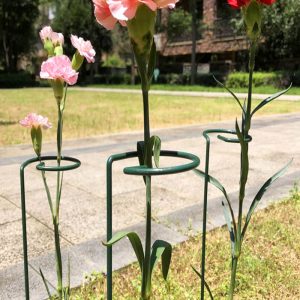 Garden Single Stem Support Stake Plant Cage Support Rings