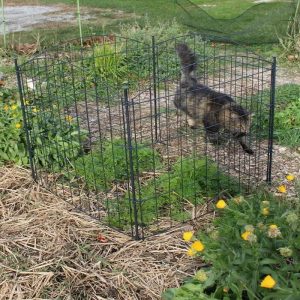 European Market Portable Powder Coated Garden Pond Fence