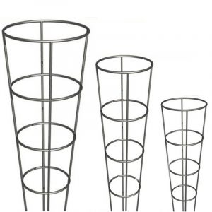 Galvanized Cone Tomato Cage Support (2)