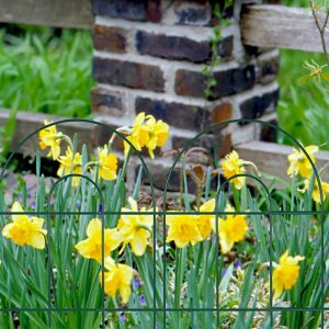 Green Garden Border Folding Fence