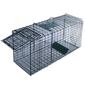 Live Animal Trap for Rabbits, Squirrel, Mole, Gopher, and More