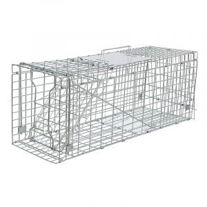 Live large Animal Cage Trap in wild