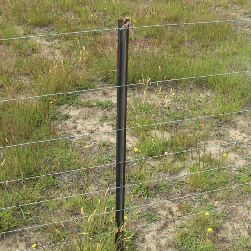 New Zealand Black Paint Low Carbon Steel Metal Pickets Y Post for Farm Fencing