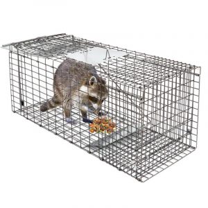 Release Rodent Cage Live Animal Trap for Rabbits, Squirrel, Gopher,
