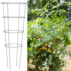 Round Plant Support ttomato cages