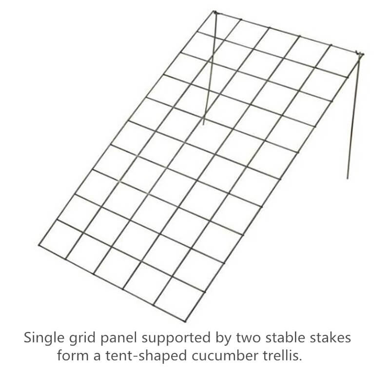 Single panel Plant Support Trellis, Cucumber Climbing Fenc
