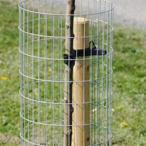 Weld mesh tree guards (2)