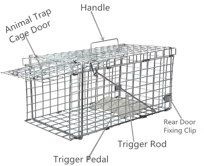 animal trap cage