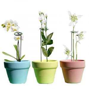 Garden stakes single stem plant support for flowers and vegetable climbing