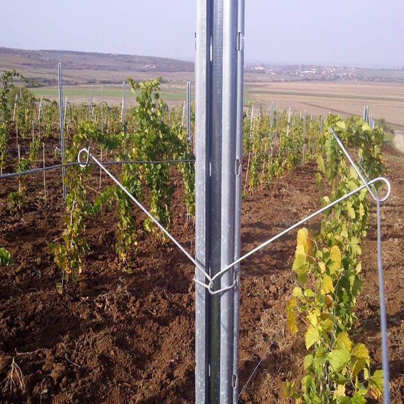 galvanized-vineyard-post