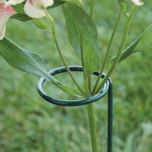 garden plant support