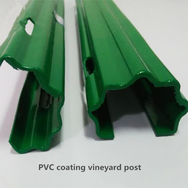 green pvc coating vineyard post