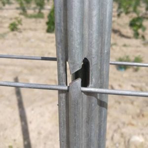 hot dipped galvanized vineyard trellis post grape stakes for Orchard (4)