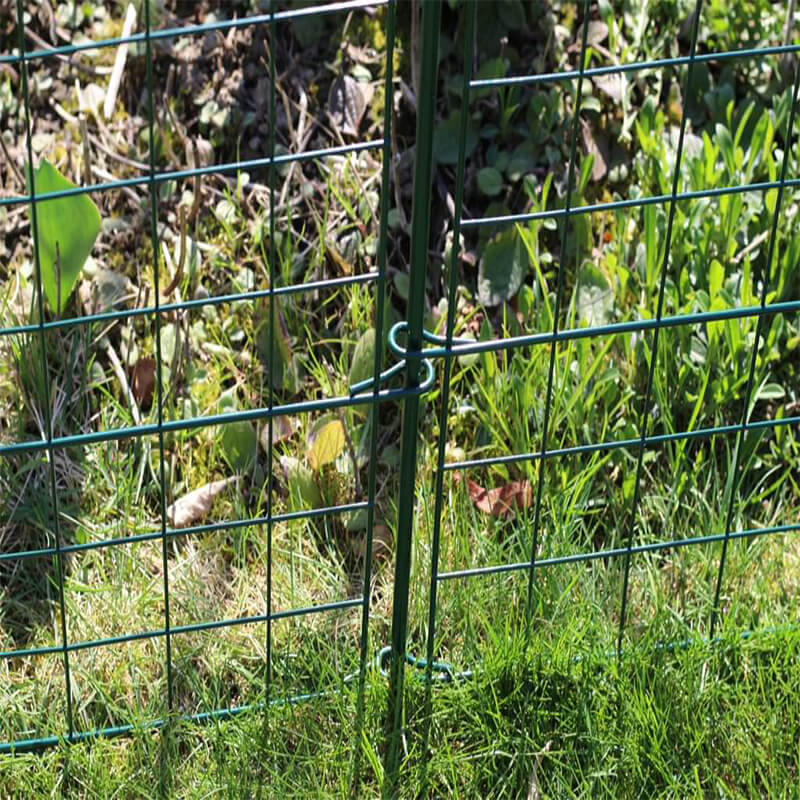 metal garden pond fence (2)