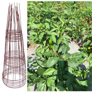 plant cages tomato plant support cage (2)