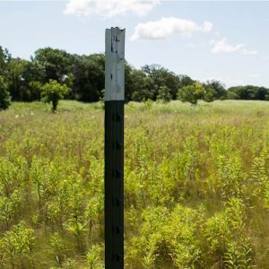 studded T fence post for farm used